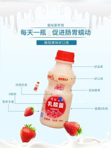 乳酸菌酸奶风味饮品 340ml×12瓶装原味与草莓味的双重享受